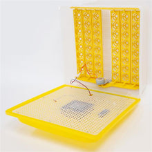 Load image into Gallery viewer, 48-Egg Practical Fully Automatic Poultry Incubator (US Standard) Yellow & Transparent