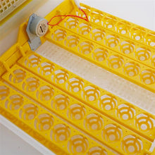 Load image into Gallery viewer, 48-Egg Practical Fully Automatic Poultry Incubator (US Standard) Yellow & Transparent