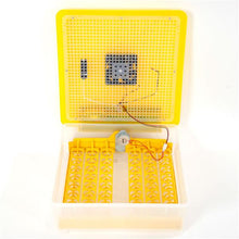 Load image into Gallery viewer, 48-Egg Practical Fully Automatic Poultry Incubator (US Standard) Yellow & Transparent